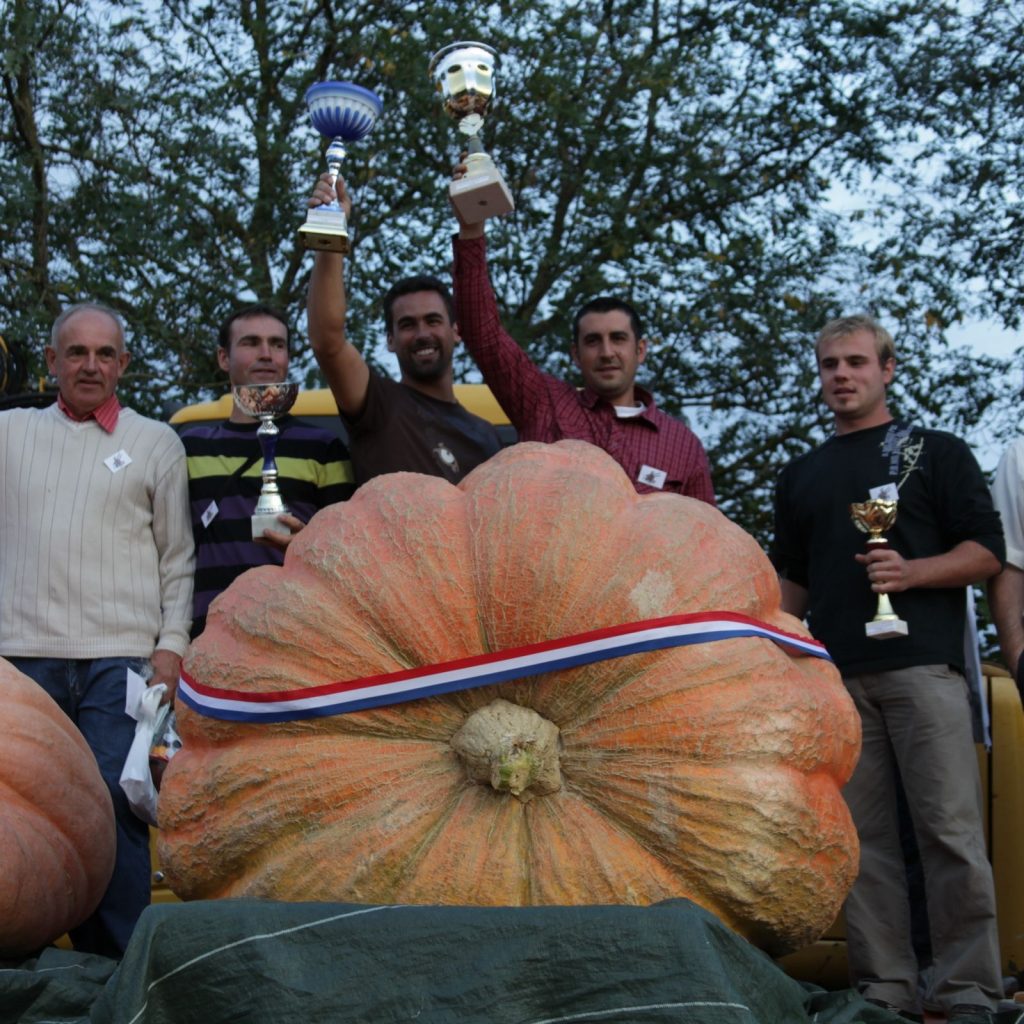 Participez au concours national officiel de fruits et légumes géants en France, organisé par Le Potager Extraordinaire.