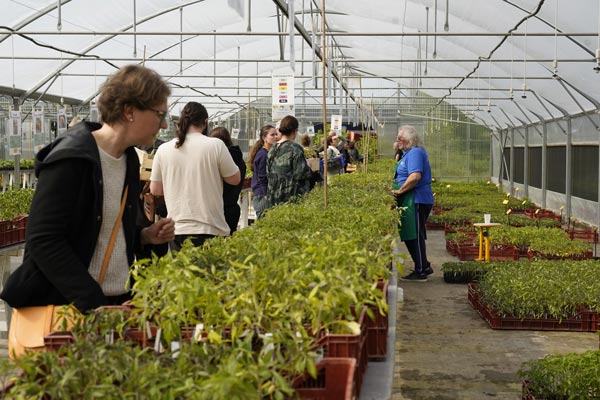 Vente de plants de fruits et légumes à La roche sur Yon en Vendée.